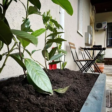 Manca's With Free Parking * Ljubljana