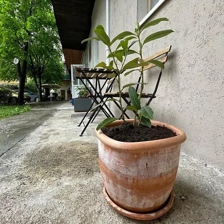 Manca's With Free Parking * Ljubljana