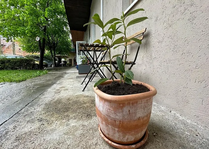 Manca's With Free Parking * Ljubljana