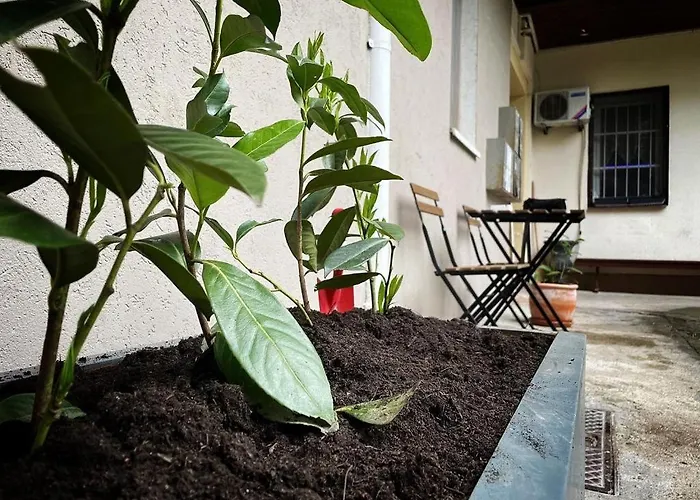 Manca's With Free Parking * Ljubljana